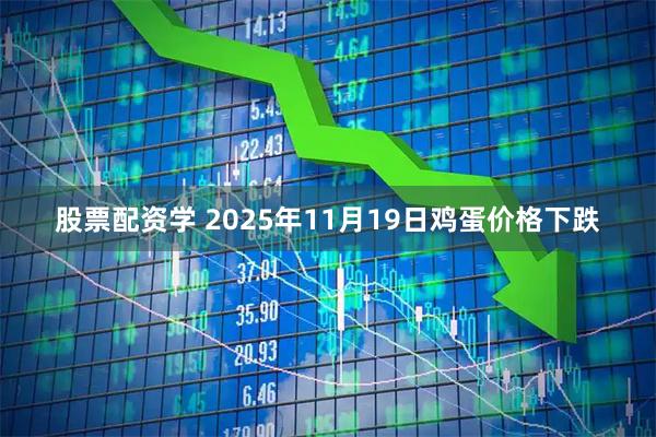 股票配资学 2025年11月19日鸡蛋价格下跌