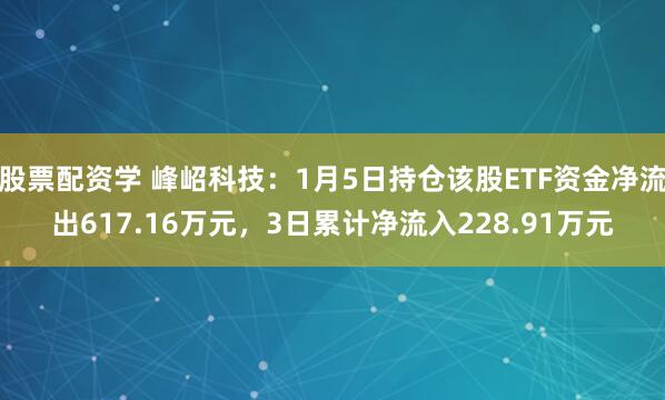 股票配资学 峰岹科技：1月5日持仓该股ETF资金净流出617.16万元，3日累计净流入228.91万元